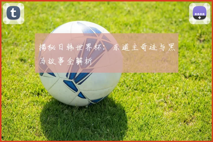 揭秘日韩世界杯：东道主奇迹与黑马故事全解析